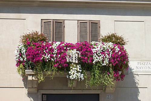 Balcony in Piazza Navona, Rome